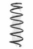 SPIDAN 86989 Coil Spring